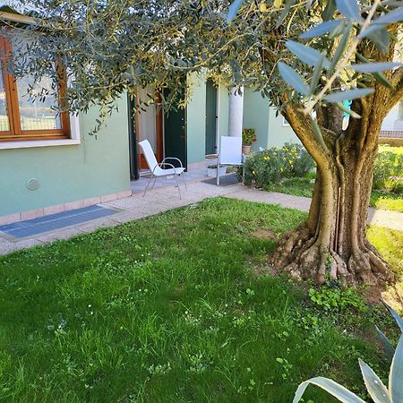 Apartamento La Casa Sul Parco Valeggio sul Mincio Exterior foto